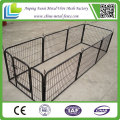 Width 150cm Large Enclosure Dog Fences for USA Market